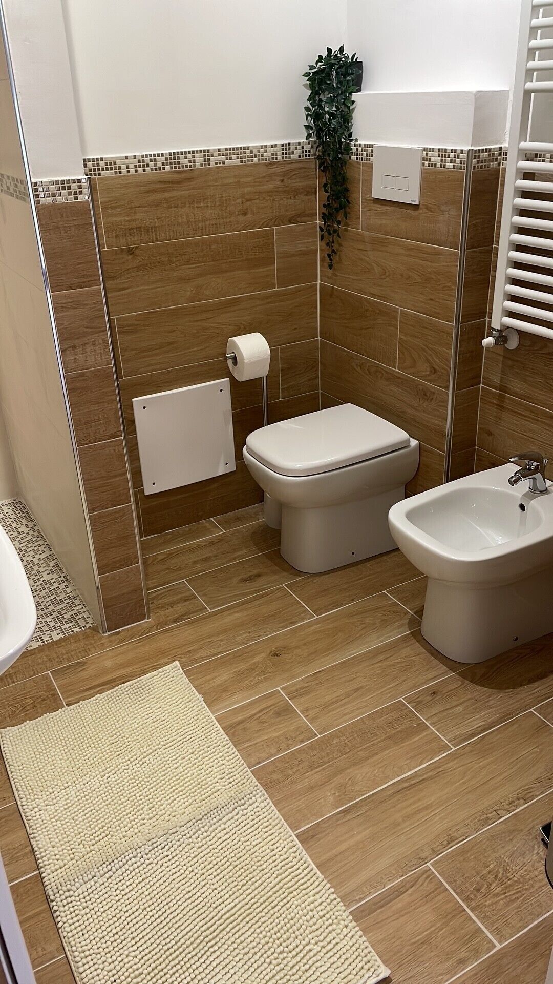 Shower, hair dryer, bidet, towels