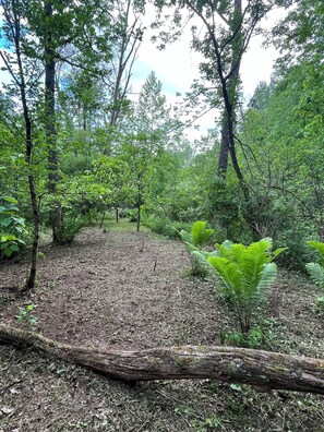 Property grounds - 6 acre private nature retreat glamping cabin. (Fort Plain)