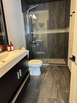 Shower, hair dryer, towels, soap