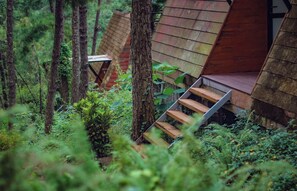 Deluxe Double or Twin Room, Mountain View, Mountainside | Property grounds - Ecolodge Cat Ba (Hai Phong)