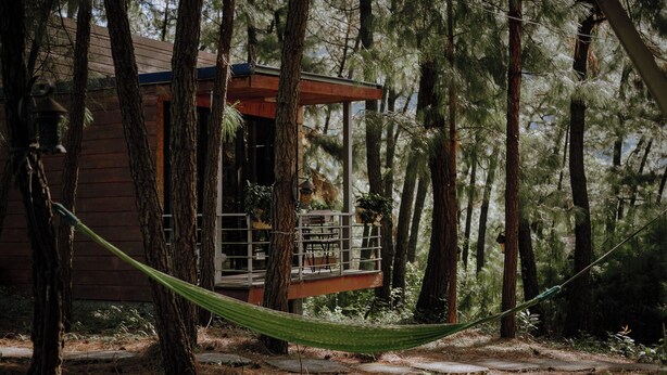 A wooden cabin with a balcony, surrounded by tall pine trees. - Ecolodge Cat Ba (Hai Phong)