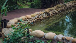 A wooden deck with a stone border leading to a pond. - Ecolodge Cat Ba (Hai Phong)