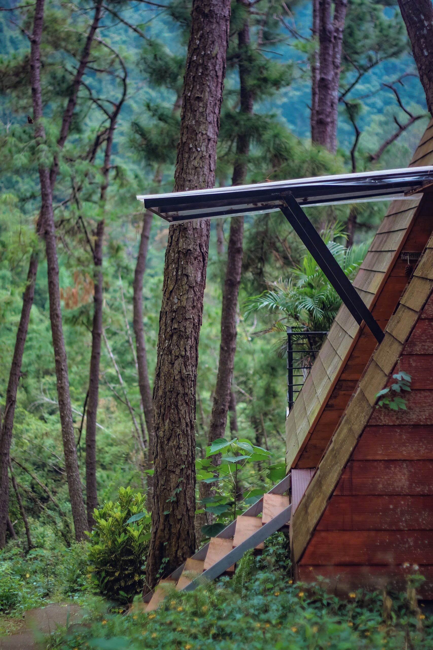 Deluxe Double or Twin Room, Mountain View, Mountainside | Property grounds