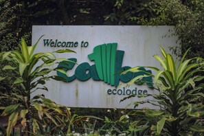 Imagem sem classificação, 5 de 23, botão