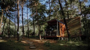 A cabin in a forest with a wooden deck and a stone pathway leading to it. - Ecolodge Cat Ba (Hai Phong)