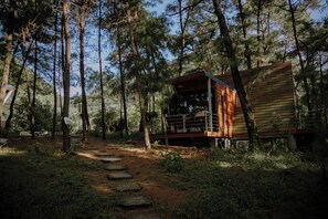 Chambre Deluxe Double ou avec lits jumeaux, vue montagne, côté montagne
