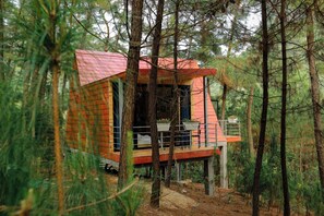 Chambre Deluxe Double ou avec lits jumeaux, vue montagne, côté montagne