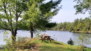 Uma mesa de piquenique à beira de um lago, rodeada por árvores.