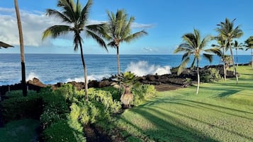 A coastal landscape with palm trees, a grassy area, and a view of the ocean.