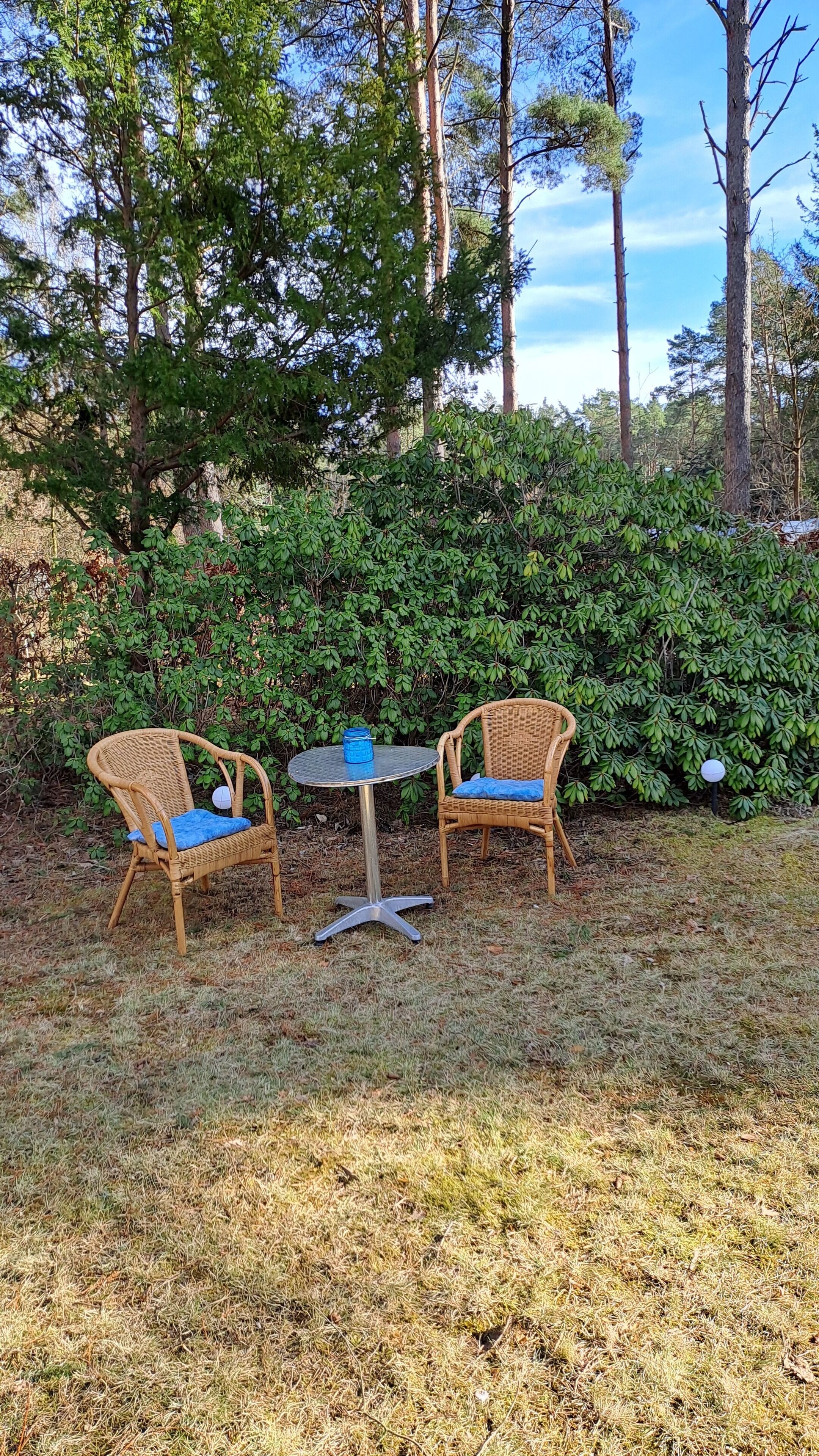 Two wicker chairs with blue cushions and a small round table with a blue object on it, set on a grassy area with a dense hedge in the background.