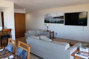 Smart TV, chimenea y libros 