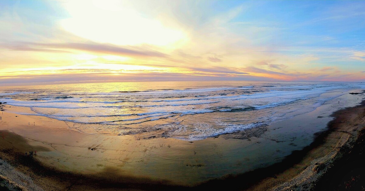 Imagen de perfil del propietario o de la propietaria