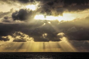 Imagen sin descripción, 5 de 11, botón