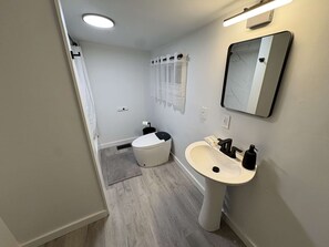 Shower - Temple Apartment Unit 1 1bedroom (Philadelphia)