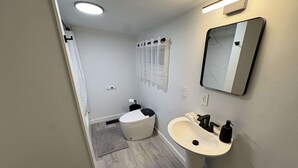 A modern bathroom with a toilet, sink, and mirror.