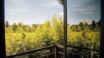 Casa familiar, patio, vista al jardín | Interior