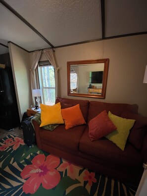 Smart TV - Escape to Bryson City, just a quick ride away from Great Smoky Mountains (Bryson City)