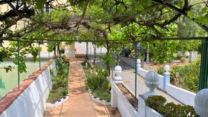 A garden pathway with white walls and blue trim, leading to a water feature.