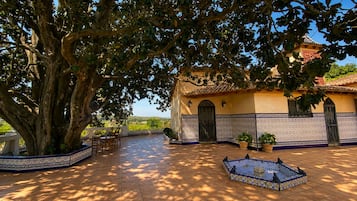 Un patio con un árbol grande, suelo de baldosas, un edificio con fachada de azulejos y una pequeña zona de estar.