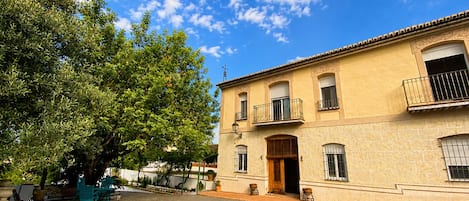 A building with a tiled facade, a balcony, and a large tree in front.