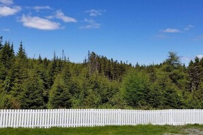 Nicht klassifiziertes Bild, 4 von 17, Schaltfläche