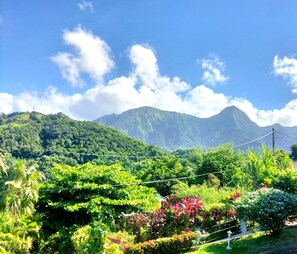 Property grounds - Family - Nature, mountains and sea escape - F2 Piscine & Terrasse Morne Vert (Le Morne-Vert)