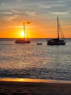 بالقرب من الشاطئ