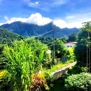 Nicht klassifiziertes Bild, 2 von 42, Schaltfläche