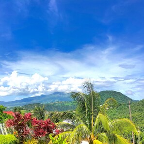 Oklassificerad bild, 2 av 42, knapp