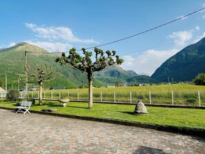 A paved walkway with a bench and a tree, surrounded by a grassy area and a fence. - House in the heart of the Pyrenees (Adast)