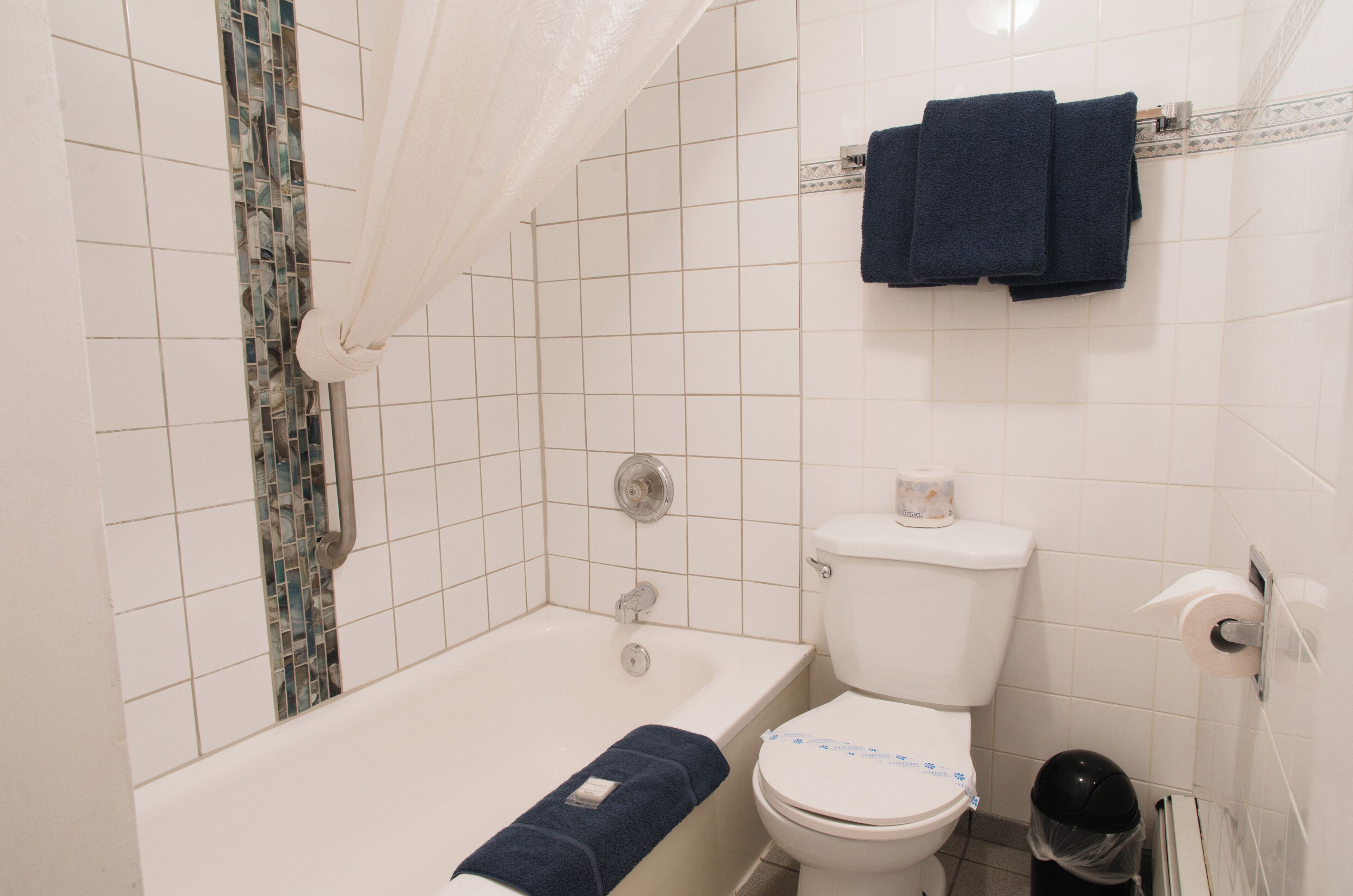 A bathroom with a bathtub, toilet, and a shower curtain.