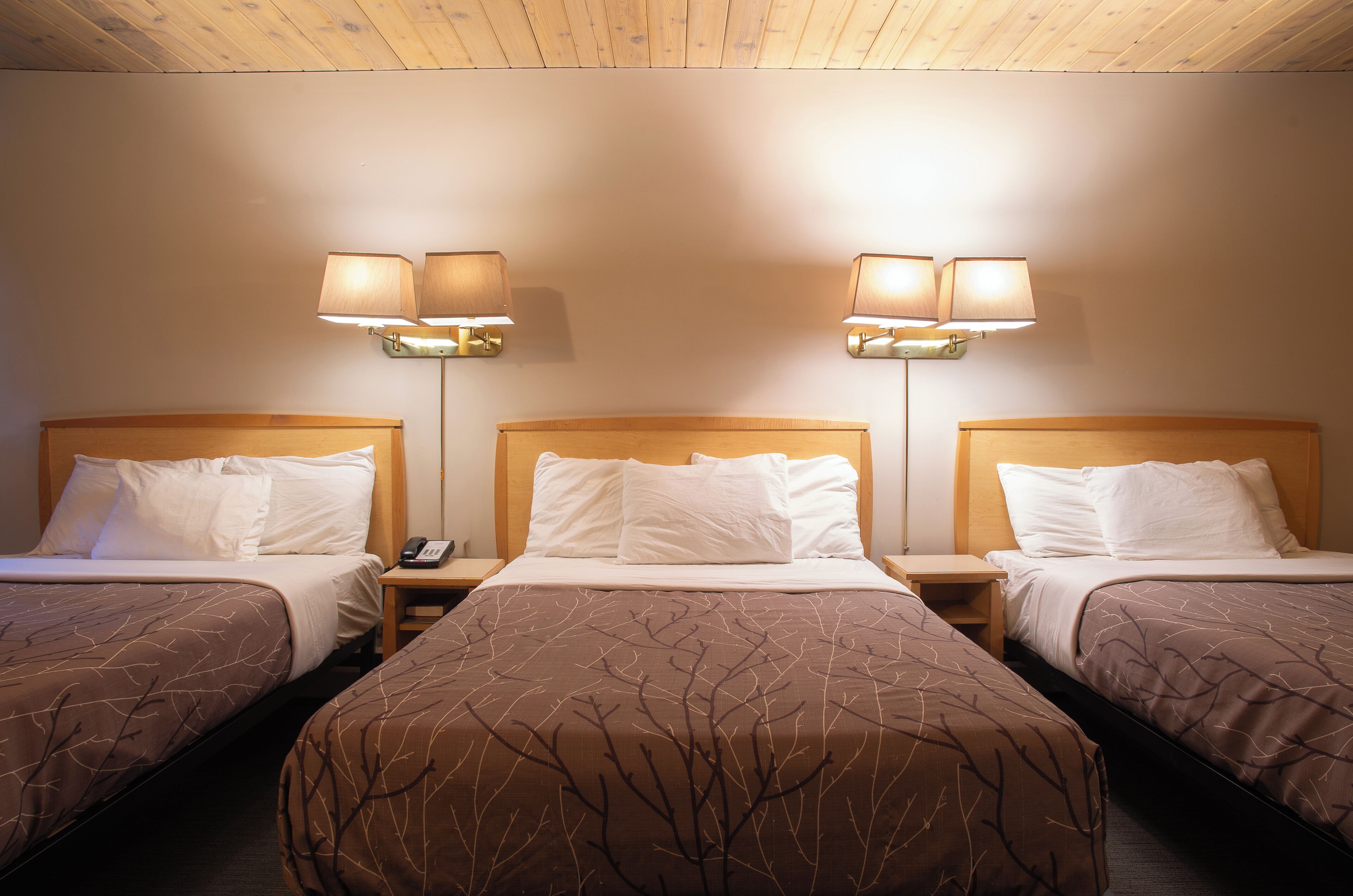 A hotel room with three single beds, each with a wooden headboard, white bedding, and a brown tree branch pattern on the bedspread. There are two wall-mounted lamps on either side of the room.