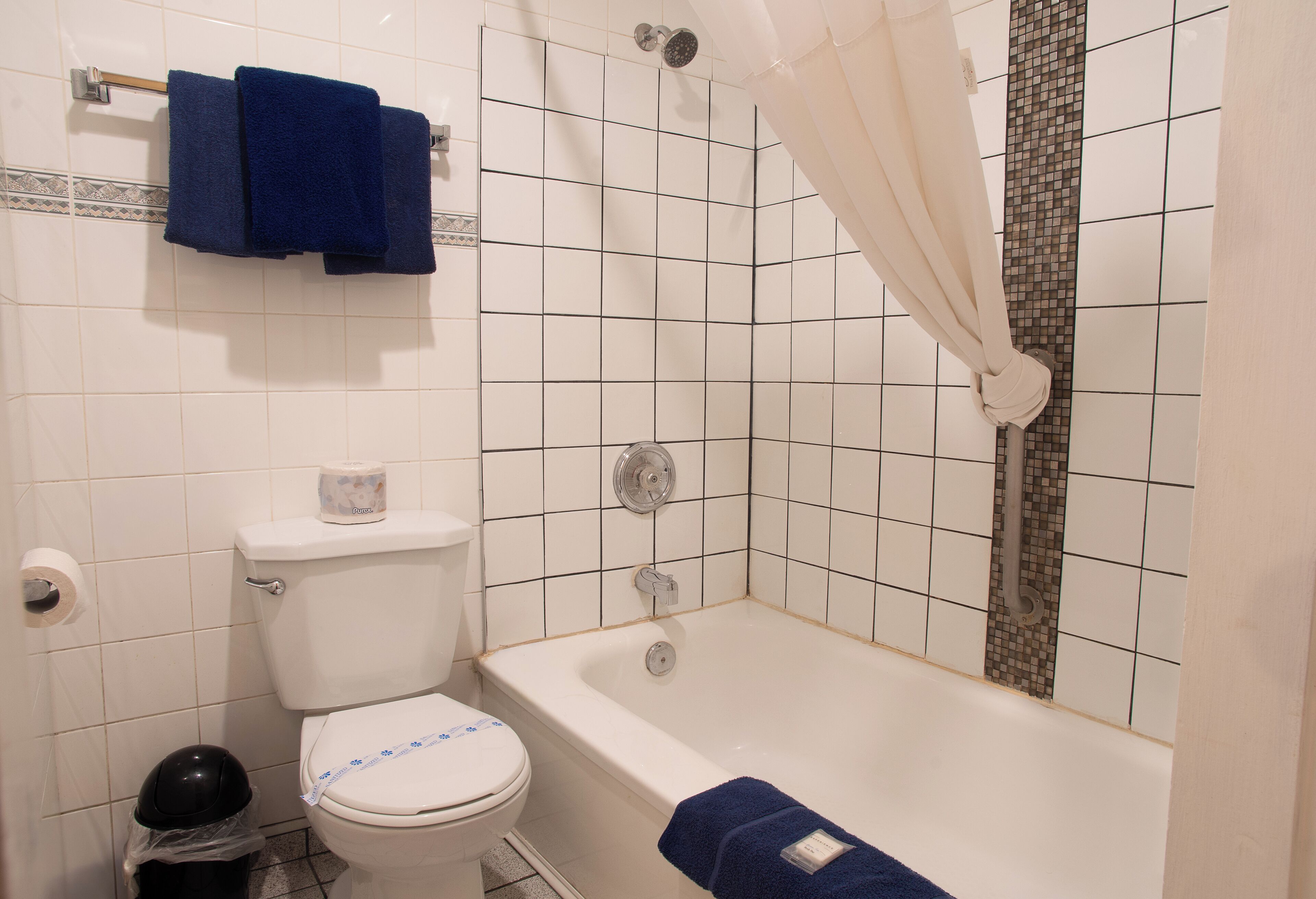 A bathroom with a toilet, bathtub, shower curtain, and a towel rack with two towels.