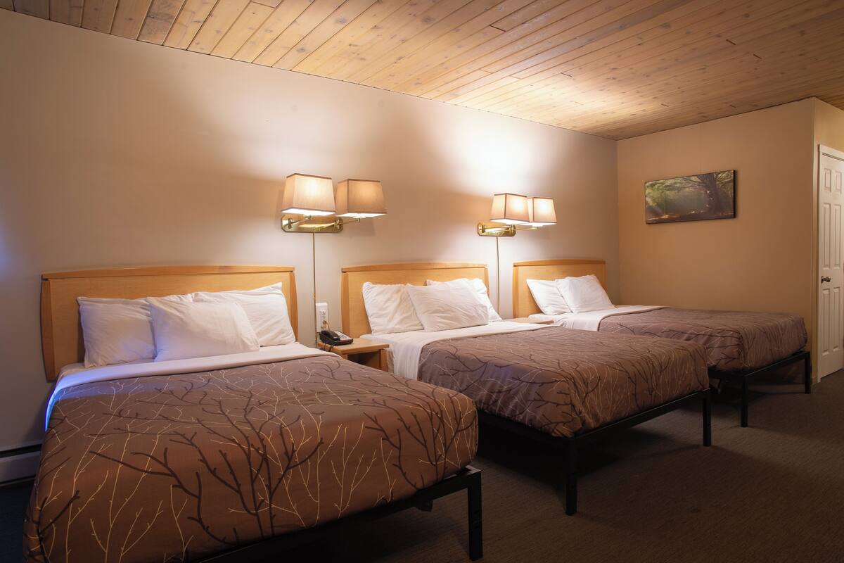 Habitación de hotel con dos camas, cabeceros de madera, lámparas de noche, un cuadro en la pared y una puerta.