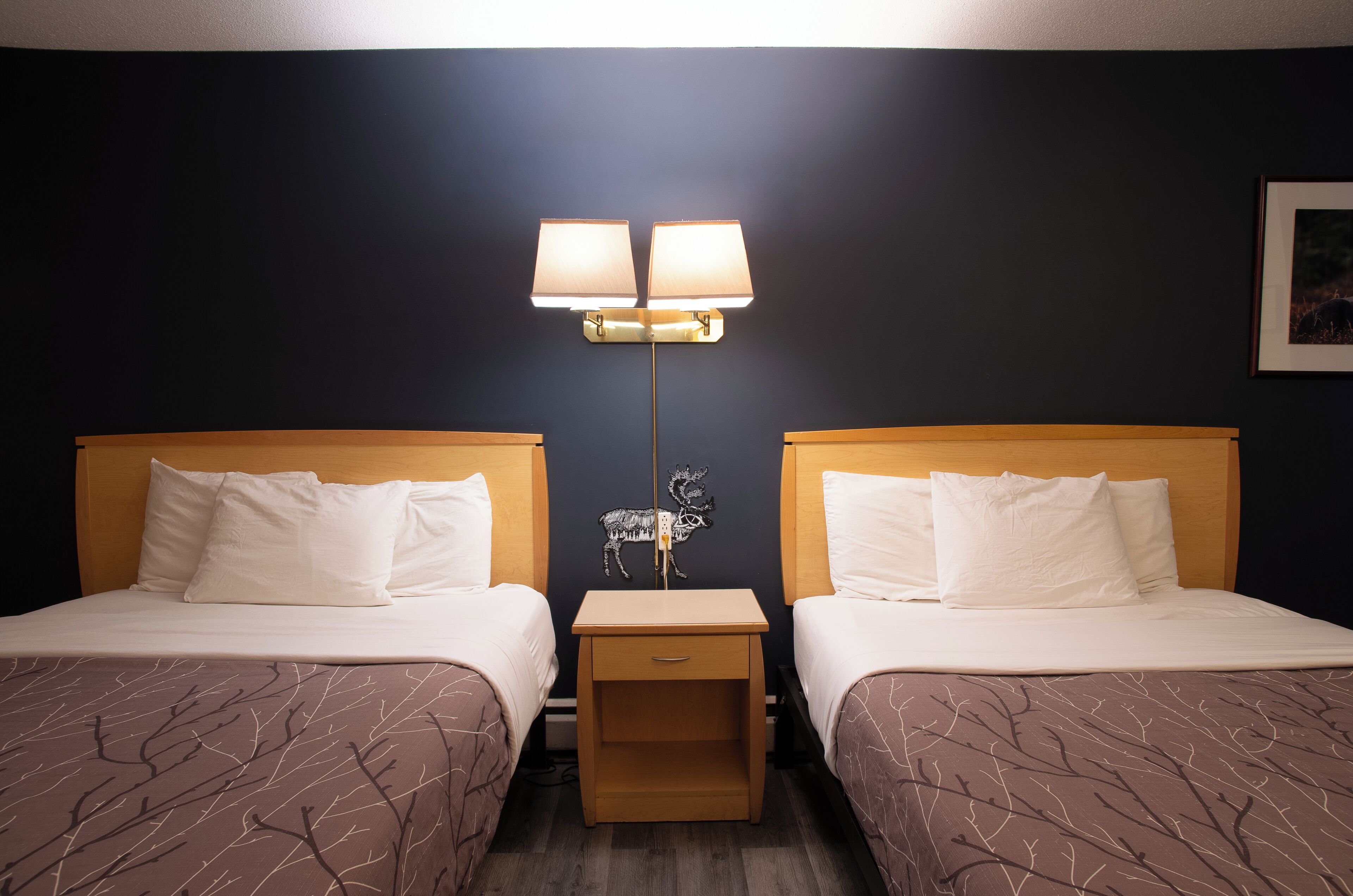 منطقة الاستقبال