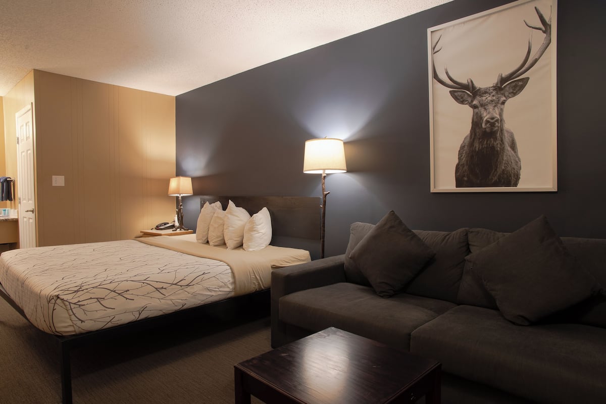 Habitación de hotel con cama, sofá, lámpara y un ciervo montado en la pared.