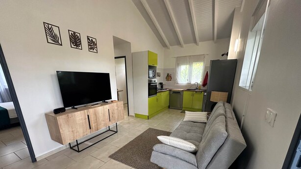 Ein modernes Wohnzimmer mit Flachbildfernseher, grauem Sofa und einer Holzkabine.