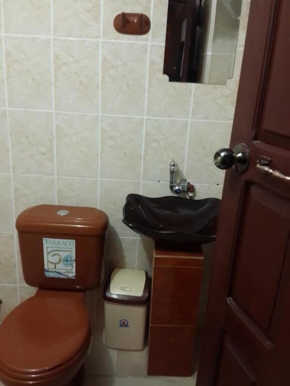 Une salle de bain avec des toilettes, un lavabo et un miroir.