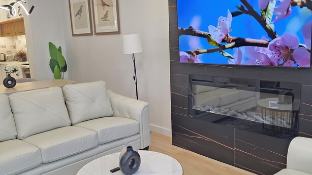 A modern living room with a sofa, a coffee table, a TV, and a fireplace. - Pakallen De-Paris Ensuite Master Bdrm 5 min to UofA, UofA Hospital. Free wifi (Edmonton)