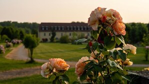 Ein Garten mit Rosen und einem Gebäude im Hintergrund.