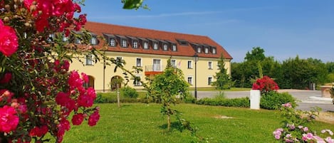 Esterni