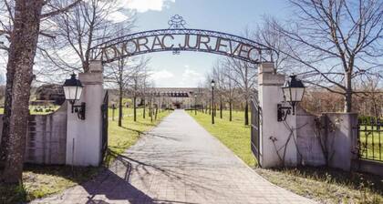 Jurjevec Castle - Standard room 19