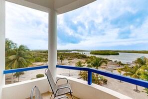 Property grounds - 2BR Suite with spectacular veranda views, pool, WiFi and kitchen (San Pedro)
