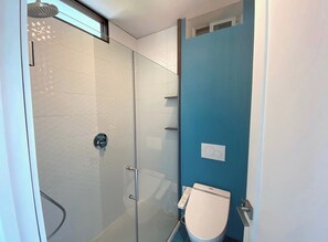 Shower, hair dryer, bidet, towels