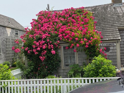 Historical Rose Covered Cottage with Ocean View
