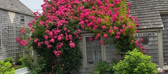 Historical Rose Covered Cottage with Ocean View