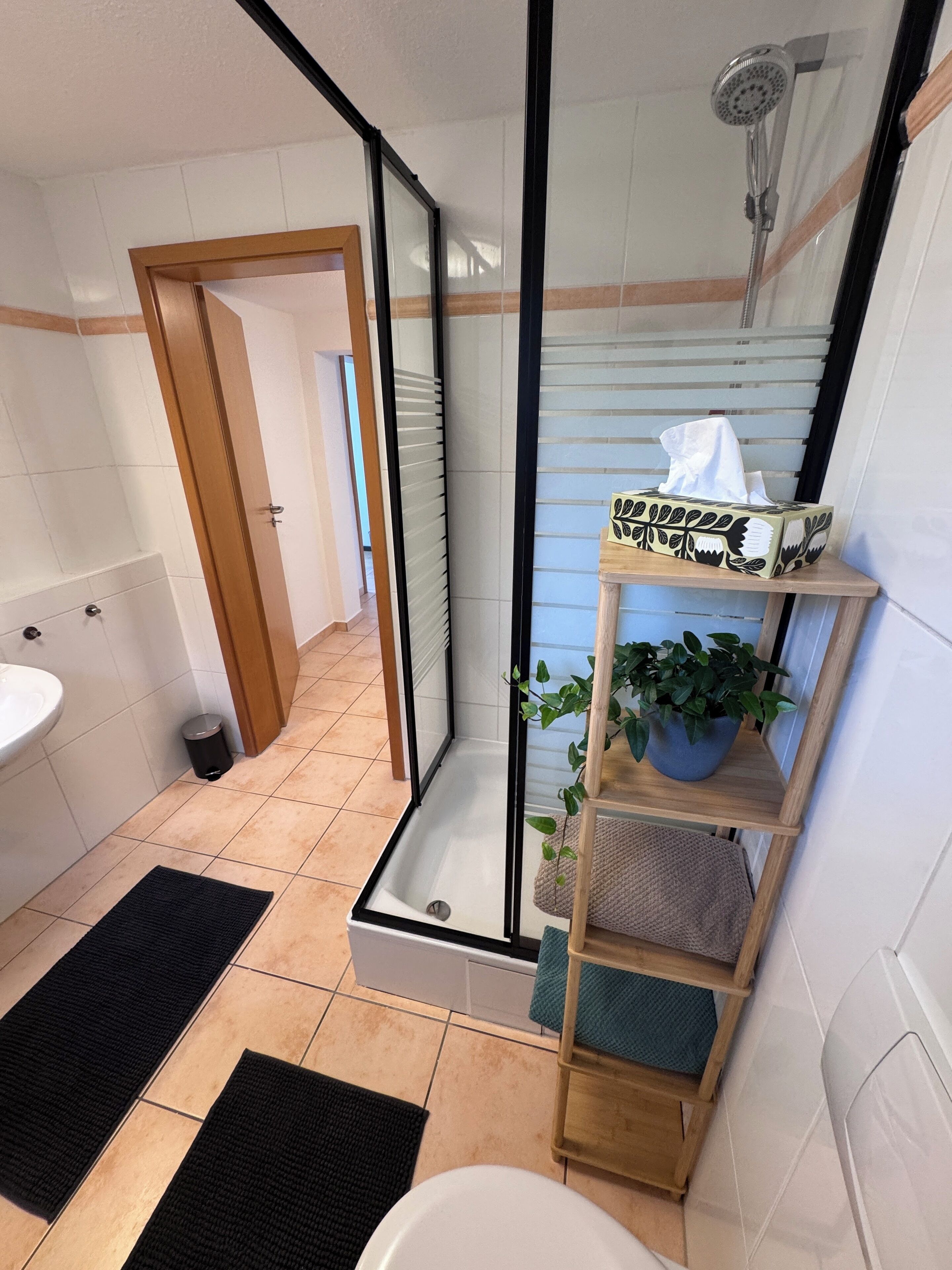 Dusche, Haartrockner, Handtücher, Seife