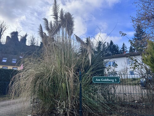 Moderne Ferienwohnung "Am Goldberg"