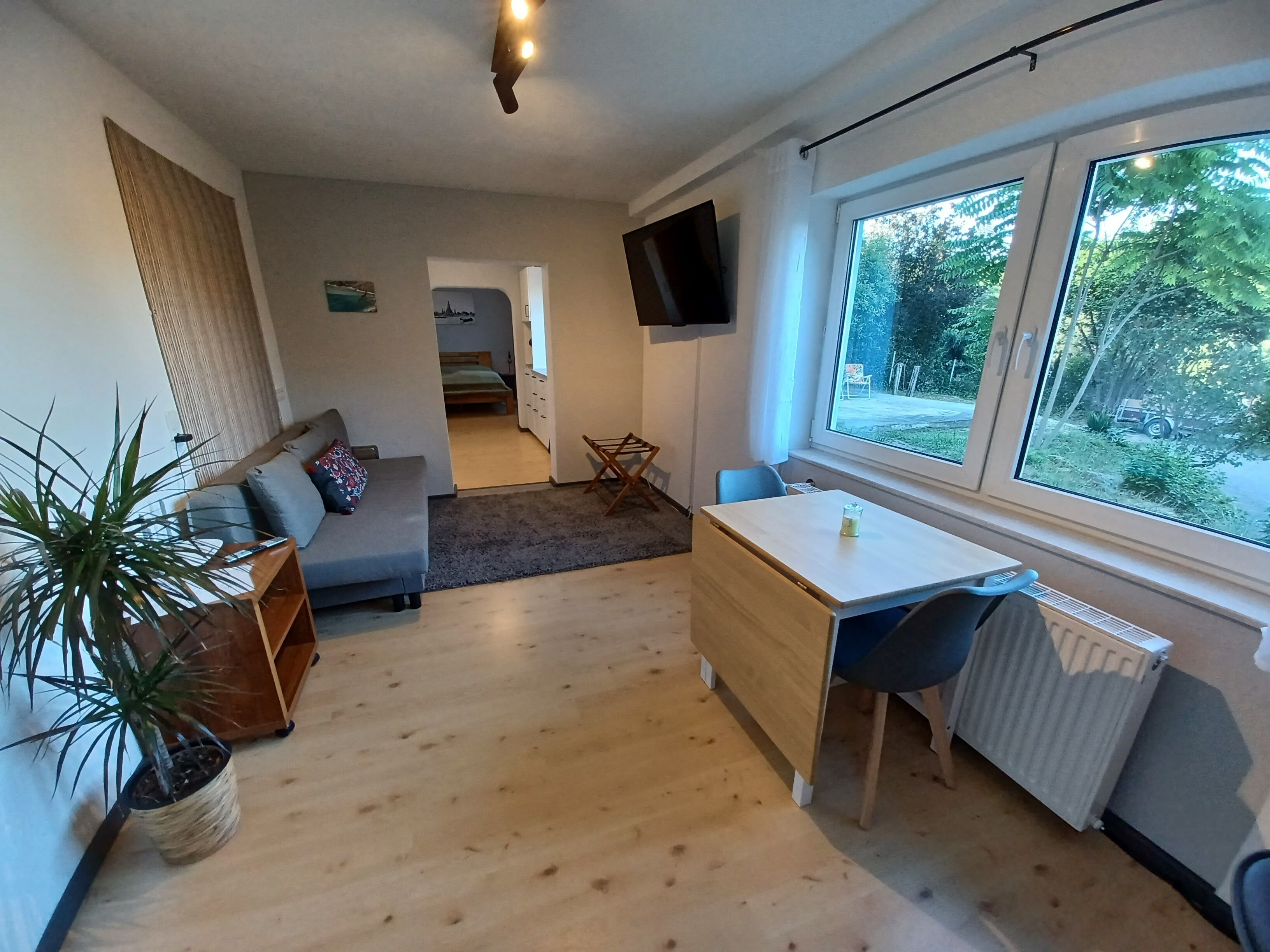Ein kompakter Wohnbereich mit Sofa, Esstisch, Heizkörper, Fernseher und einem großen Fenster mit Blick auf Grünflächen.