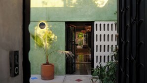 A green exterior wall with a potted plant, a metal gate, and a pathway leading to an interior space. - House in Merida near Parque de las Americas. (For families and couples) (Mérida)